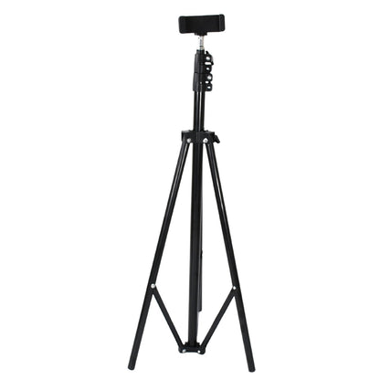 Professional DSLR Camera Tripod - Max Height 178cm Adjustable Stand with Multipurpose Head for Photography